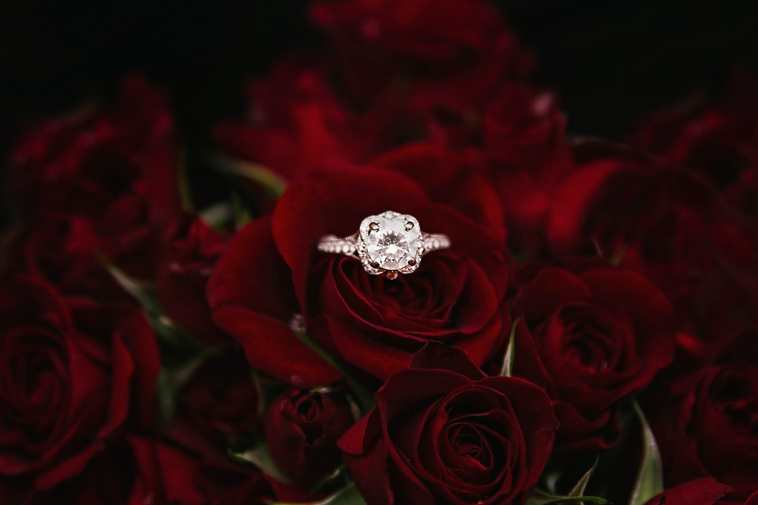Timeless Beauty: Diamond Engagement Rings for Occasion